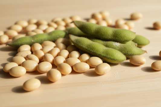 realistic soy beans